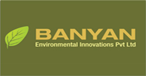 banyan