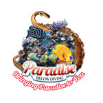 Paradise Below Diving